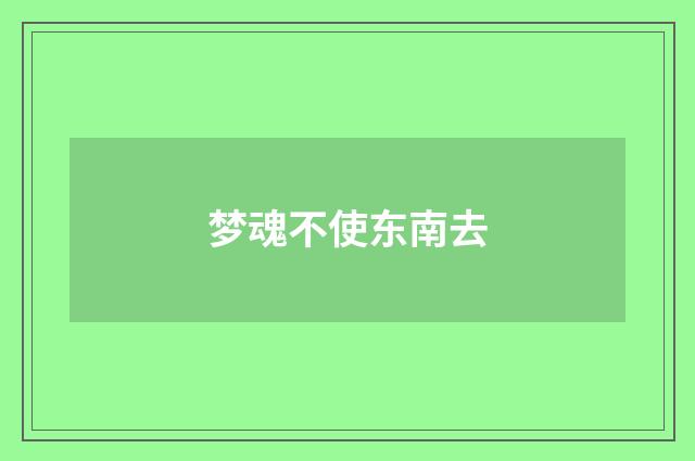 梦魂不使东南去