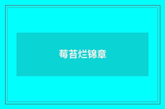 莓苔烂锦章