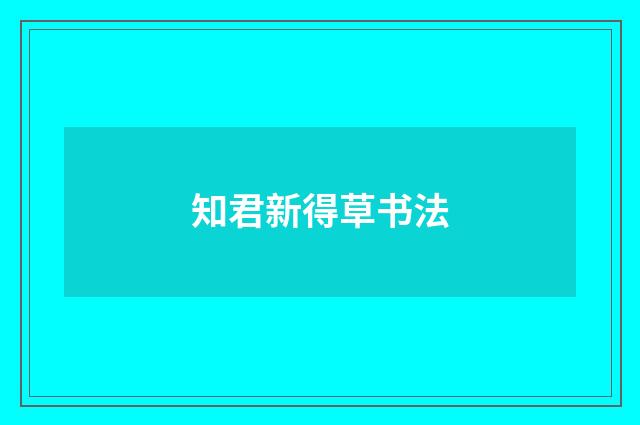 知君新得草书法