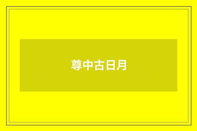 尊中古日月