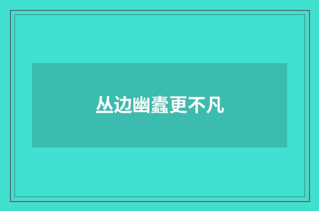 丛边幽蠹更不凡