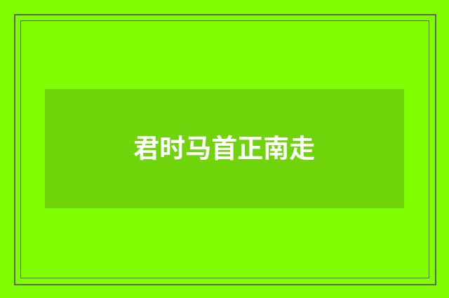 君时马首正南走