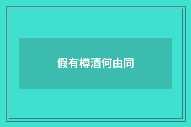 假有樽酒何由同