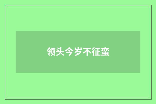 领头今岁不征蛮