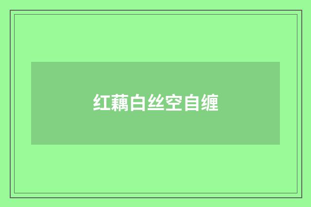 红藕白丝空自缠