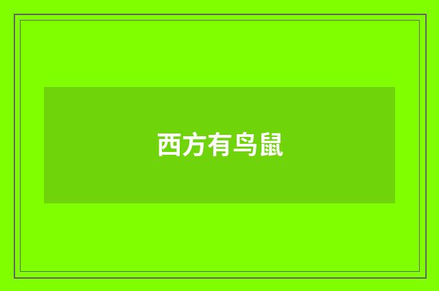 西方有鸟鼠
