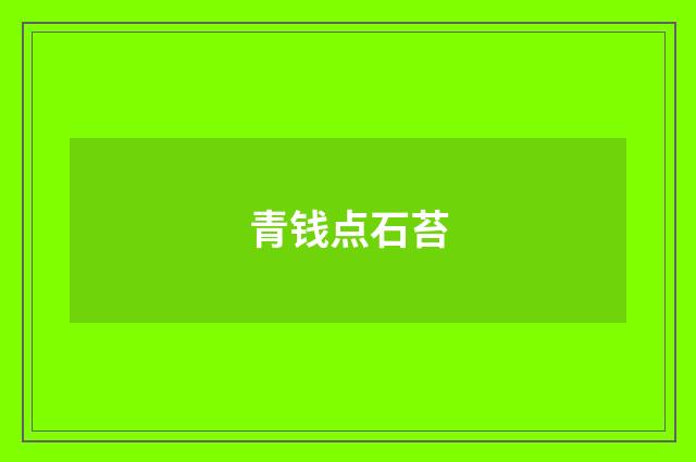 青钱点石苔