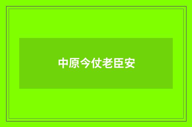 中原今仗老臣安