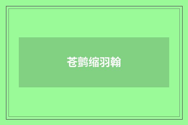 苍鹯缩羽翰