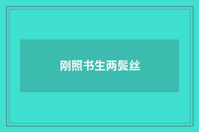 刚照书生两鬓丝