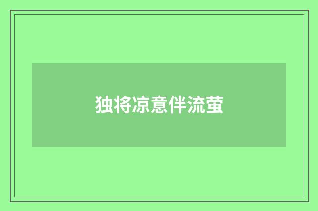独将凉意伴流萤