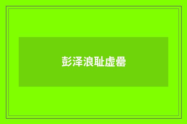 彭泽浪耻虚罍