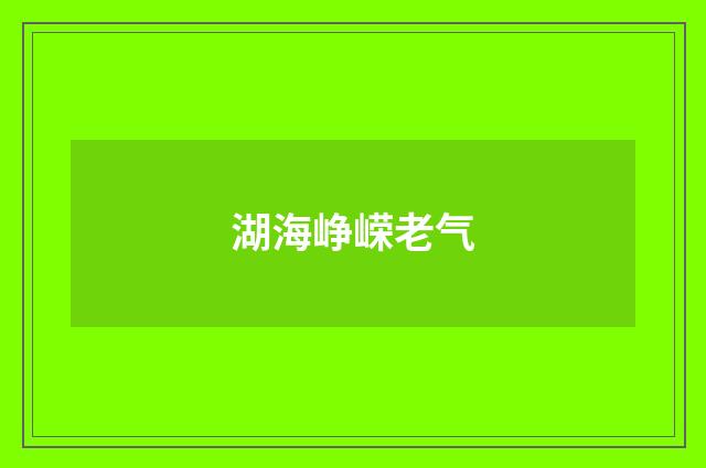 湖海峥嵘老气
