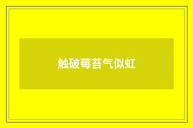 触破莓苔气似虹