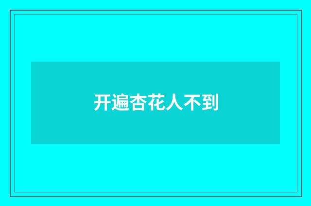 开遍杏花人不到
