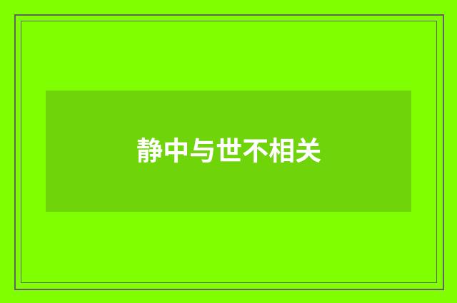 静中与世不相关