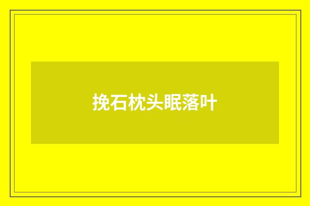 挽石枕头眠落叶