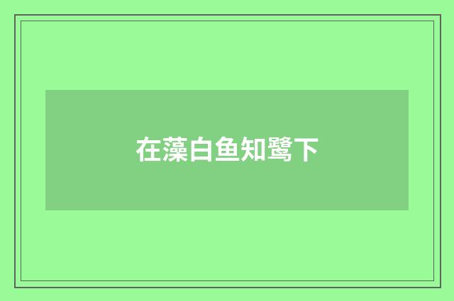 在藻白鱼知鹭下