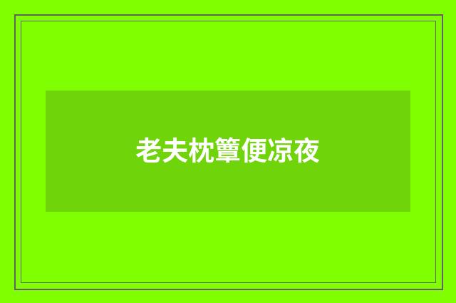 老夫枕簟便凉夜