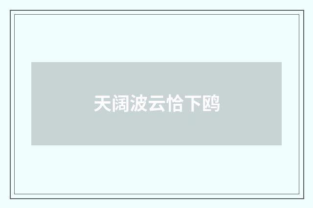 天阔波云恰下鸥