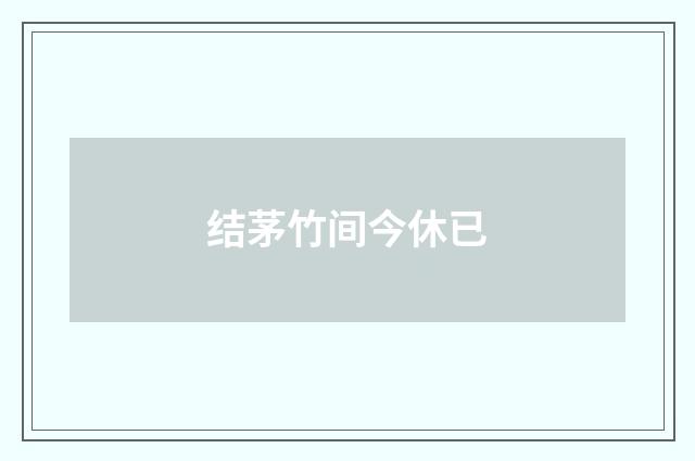 结茅竹间今休已