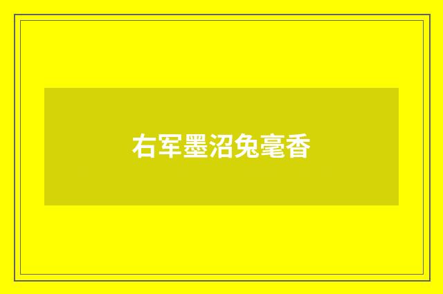 右军墨沼兔毫香