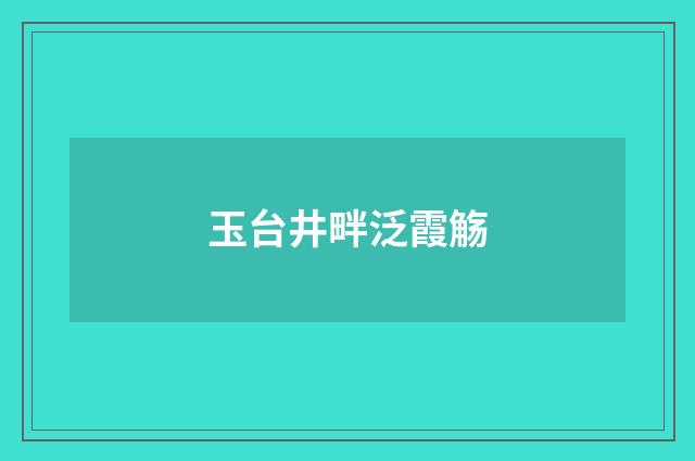 玉台井畔泛霞觞