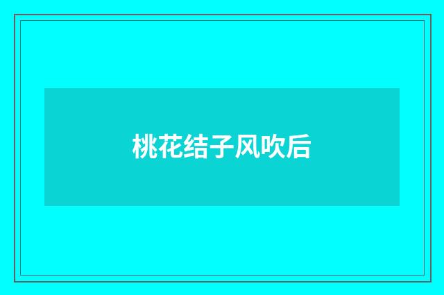 桃花结子风吹后