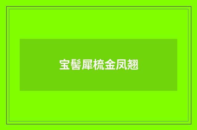 宝髻犀梳金凤翘