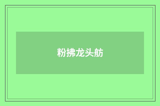 粉拂龙头舫