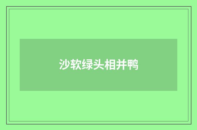 沙软绿头相并鸭