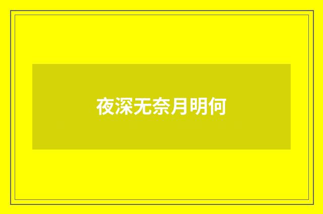 夜深无奈月明何