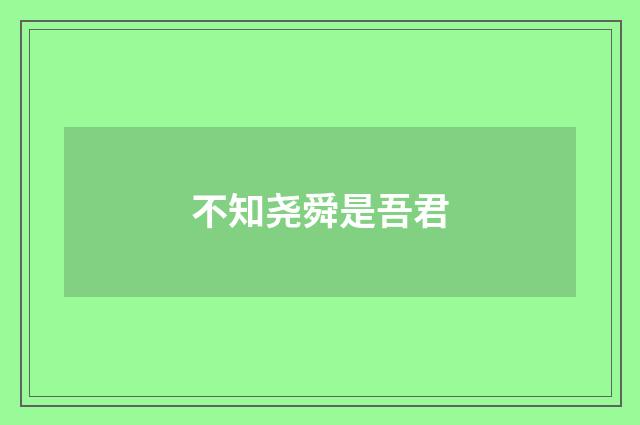 不知尧舜是吾君