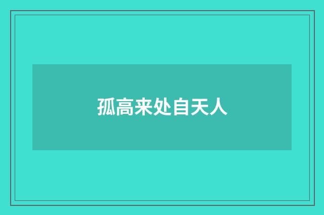 孤高来处自天人