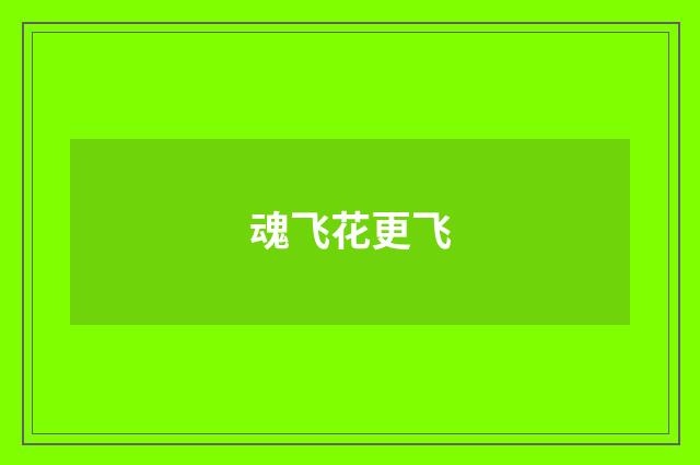 魂飞花更飞