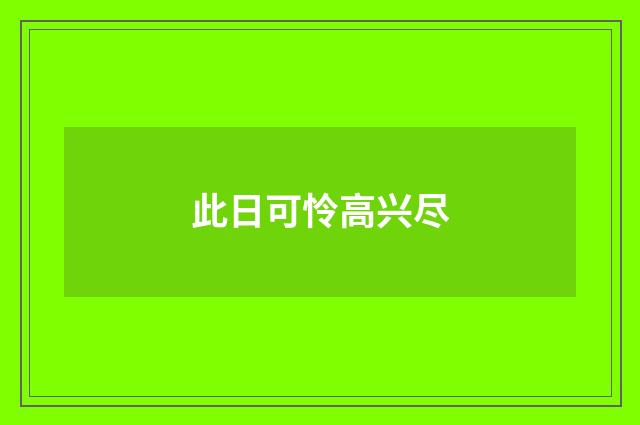 此日可怜高兴尽