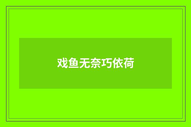 戏鱼无奈巧依荷
