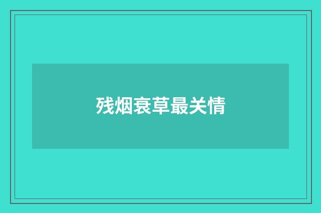 残烟衰草最关情