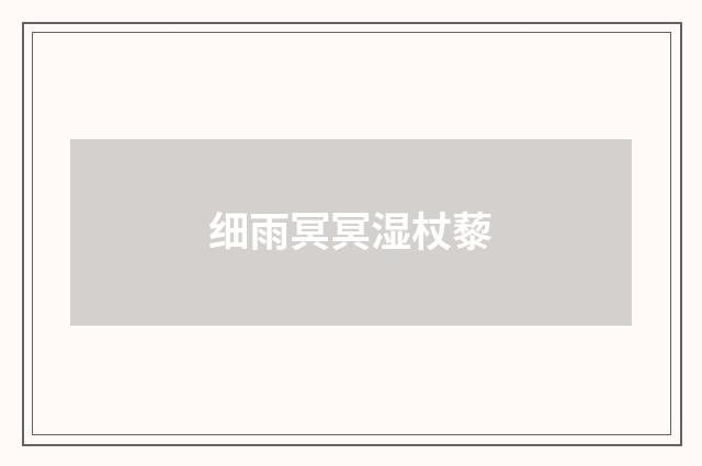 细雨冥冥湿杖藜