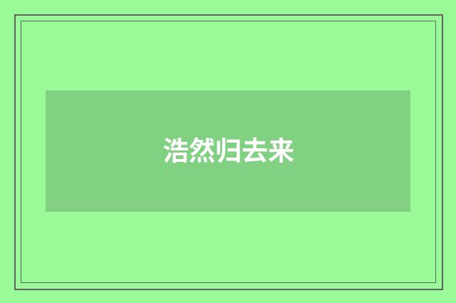 浩然归去来