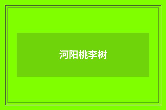 河阳桃李树