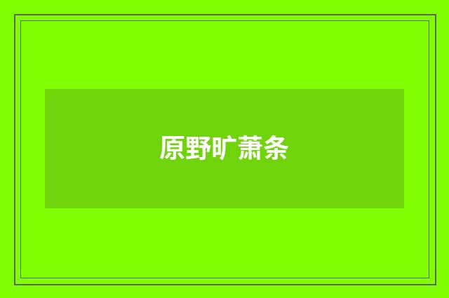 原野旷萧条