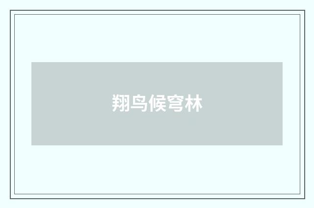 翔鸟候穹林