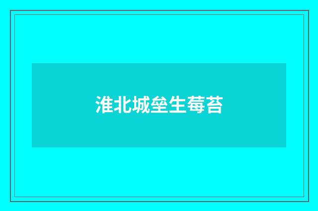 淮北城垒生莓苔