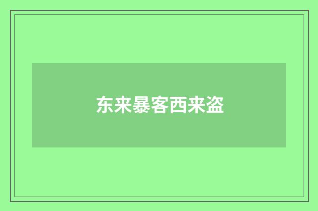 东来暴客西来盗