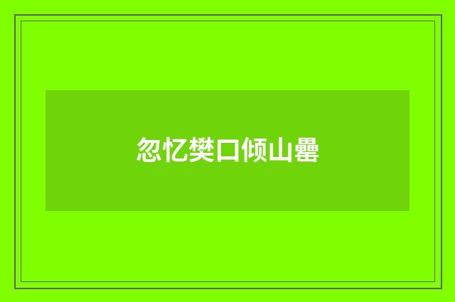 忽忆樊口倾山罍