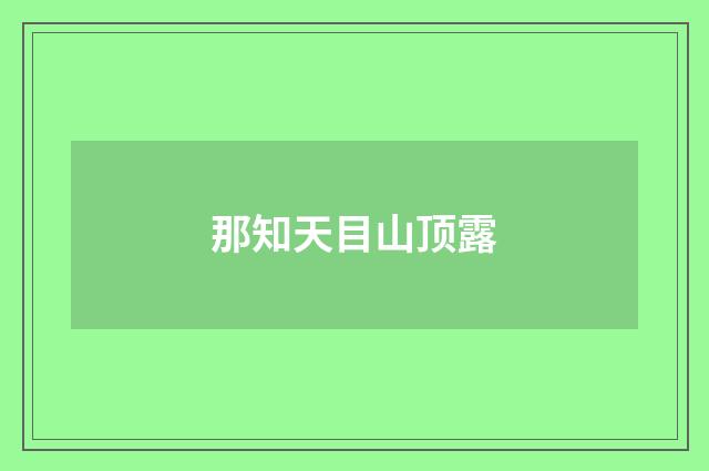 那知天目山顶露