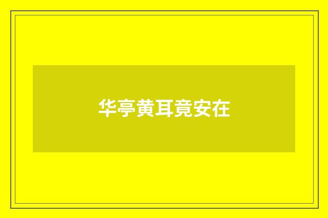 华亭黄耳竟安在