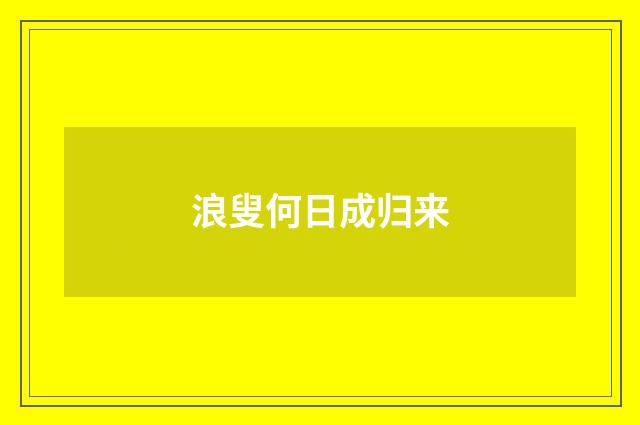 浪叟何日成归来