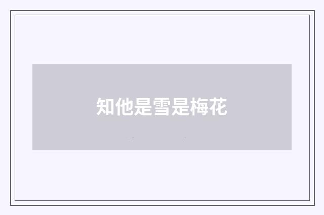 知他是雪是梅花